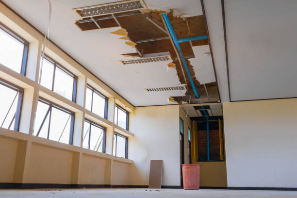 Best Basement water damage restoration  in Whispering Pines, NC