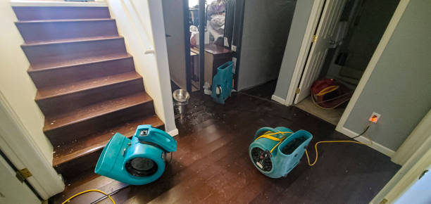 Best Water damage contractors near me  in Whispering Pines, NC
