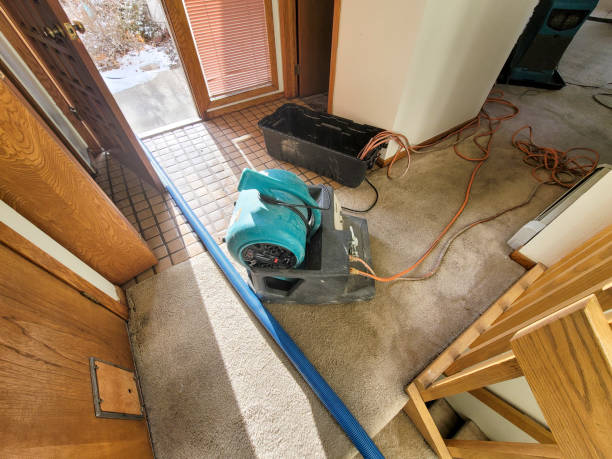 Best Emergency water damage restoration  in Whispering Pines, NC