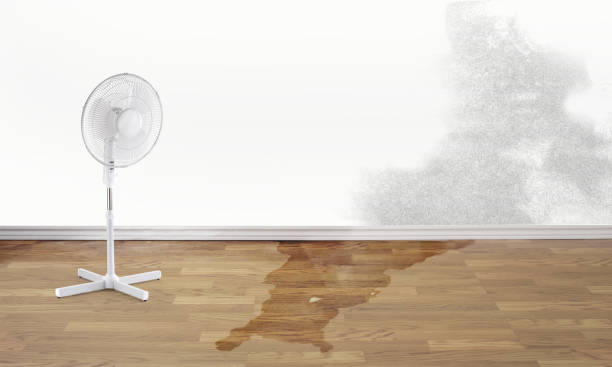 Best Water damage restoration near me  in Whispering Pines, NC