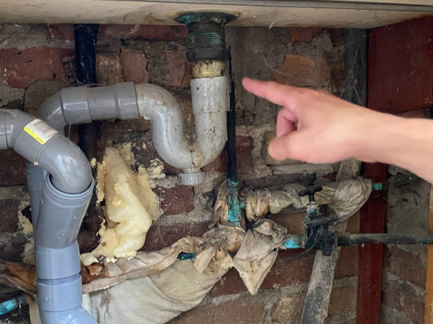 Best 24-hour water damage restoration  in Whispering Pines, NC