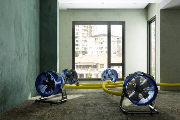 Best Mold removal after water damage  in Whispering Pines, NC
